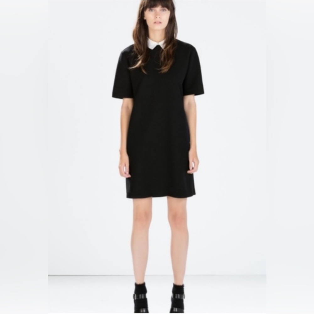 Zara Collard Dress‎